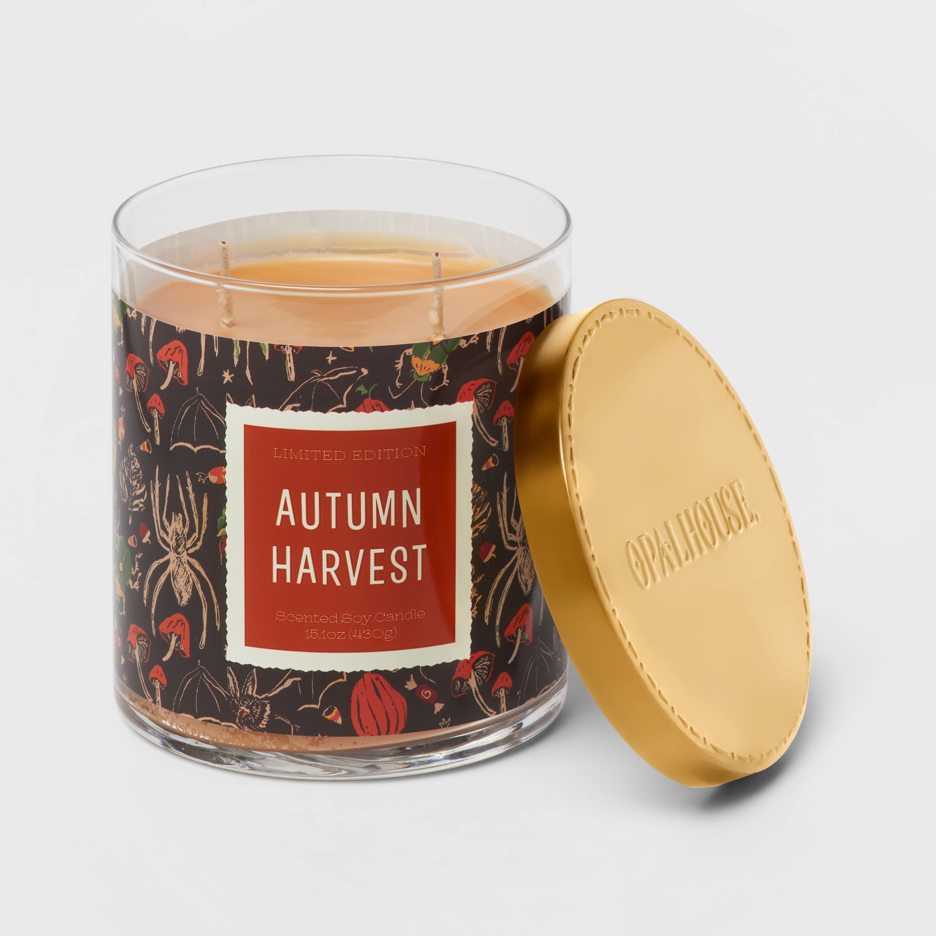 the autumn harvest candle