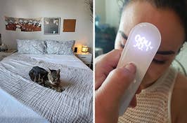 a bed with gray paisley sheets and a cat on it on the left and a touchless forehead thermometer being used to take someone's temperature on the right