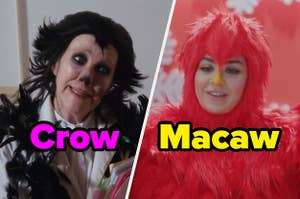 Miora Rose as a crow and Charli XCX as a Macaw