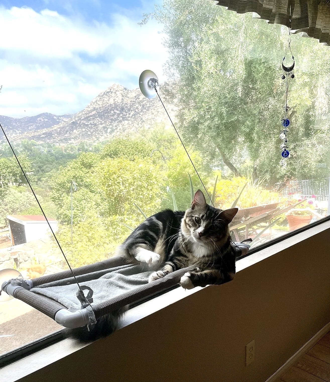 Reviewer&#x27;s photo of the cat hammock attached to a window with a tabby cat with white socks sitting in it