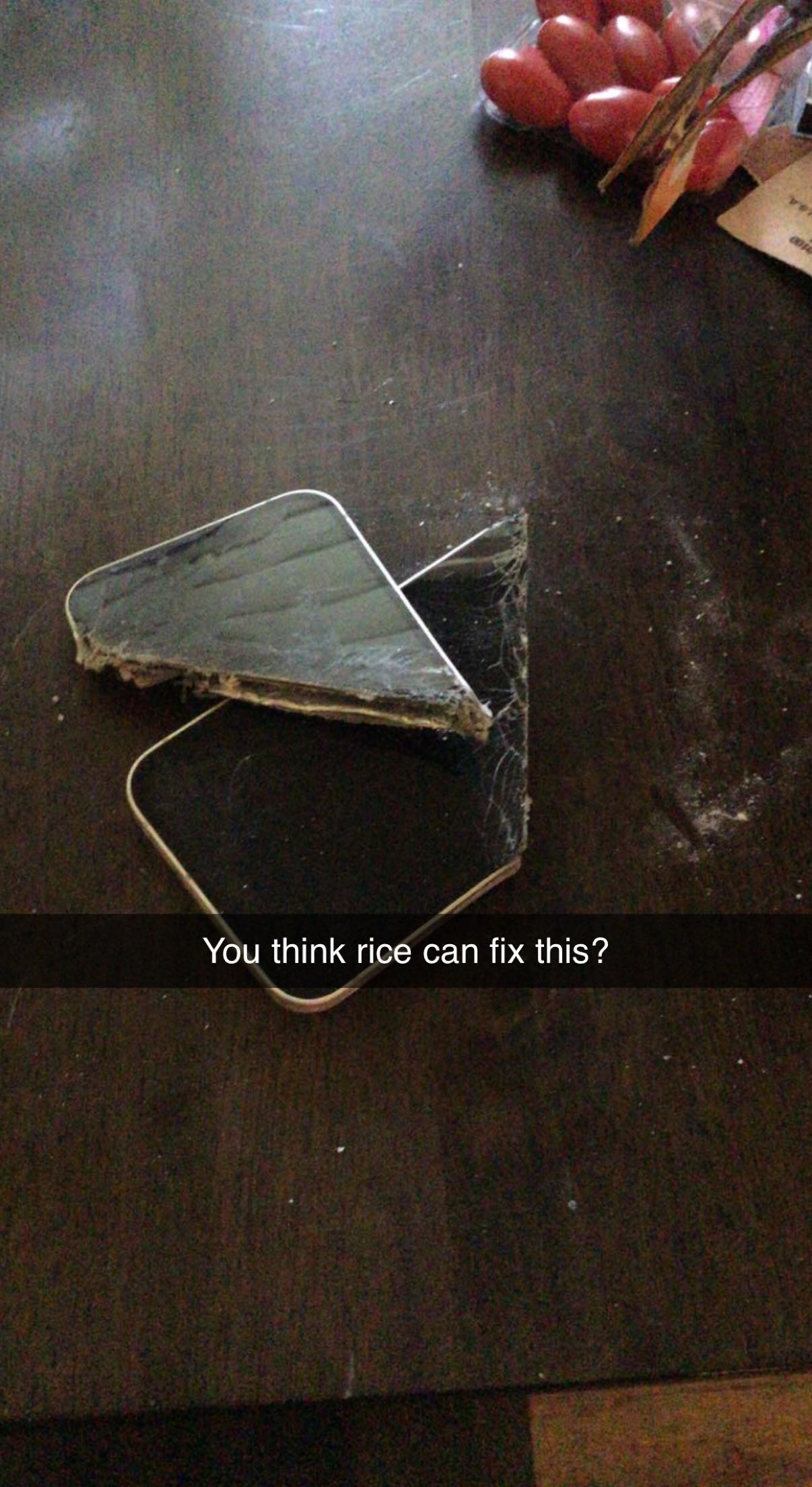 A phone broken in half with caption, &quot;Do you think rice can fix this?&quot;