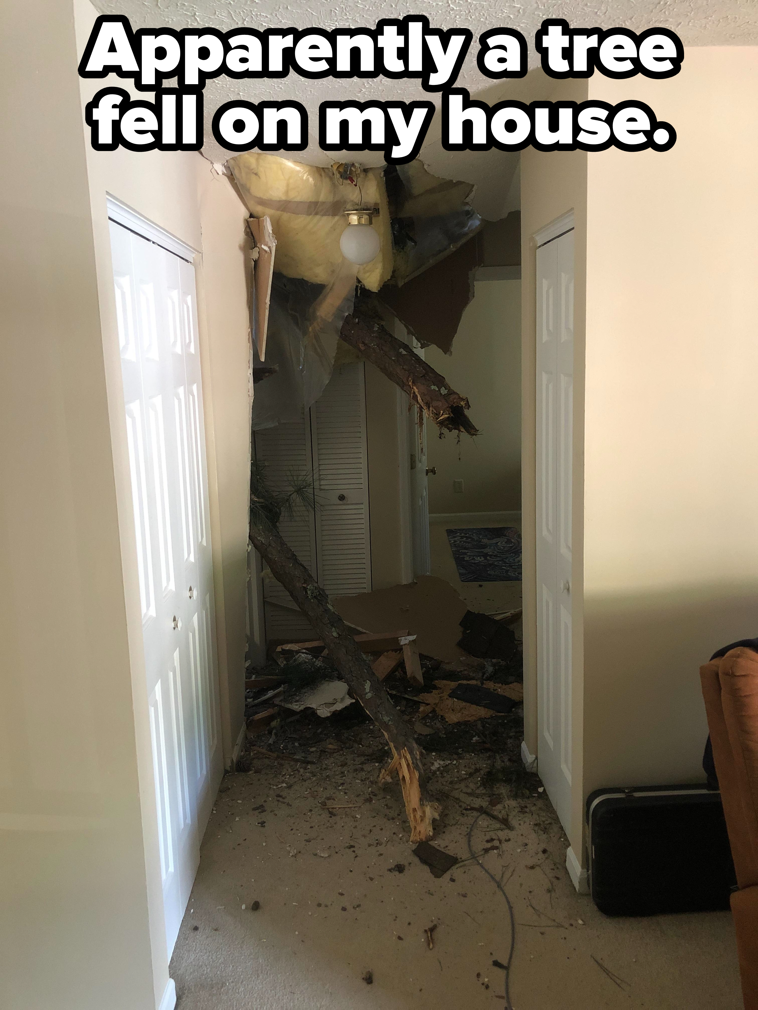 The view of a house&#x27;s hallway with a huge hole in the ceiling and tree bark, branches, and dirt on the floor, with caption &quot;Apparently a tree fell on my house&quot;