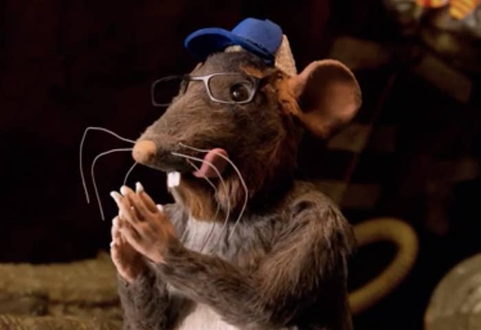 A rat wearing a hat