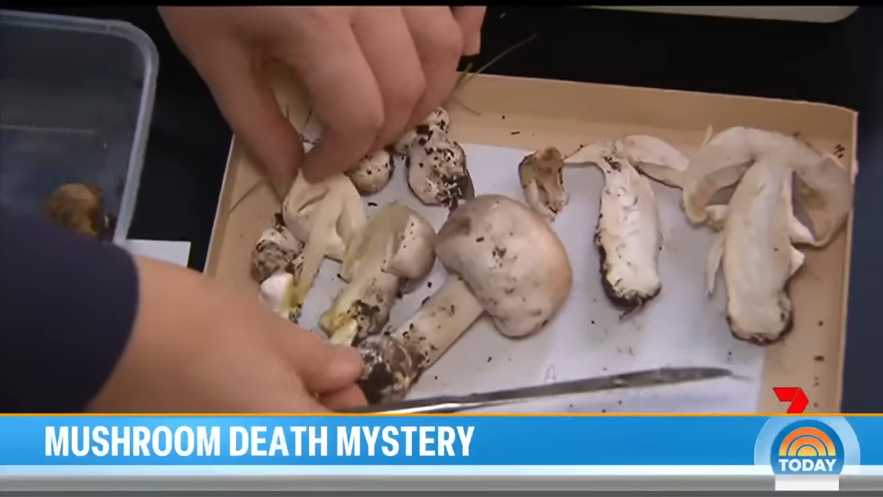 Screenshot of someone preparing mushrooms for eating