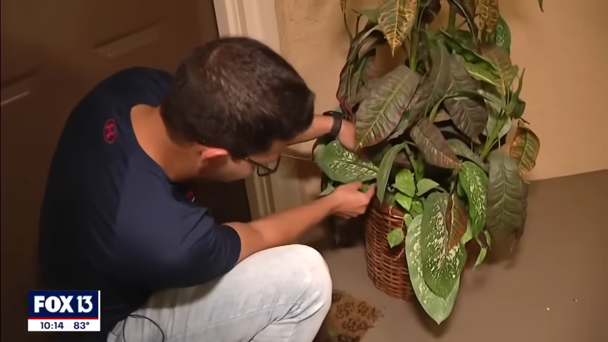 Abdullah checking a plant by his door