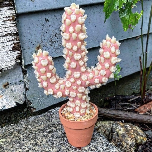 A cactus made of teeth