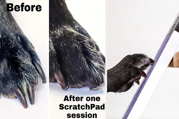 a before and after for a scratchpad