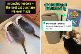 two cats eating out of microchip feeders / a 40 pound bag of cat litter the author has bought 52 times