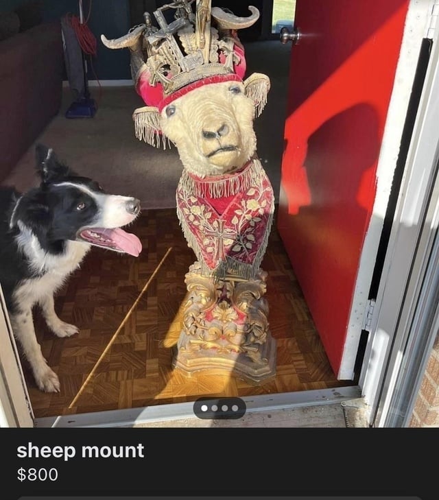 &quot;sheep mount&quot;