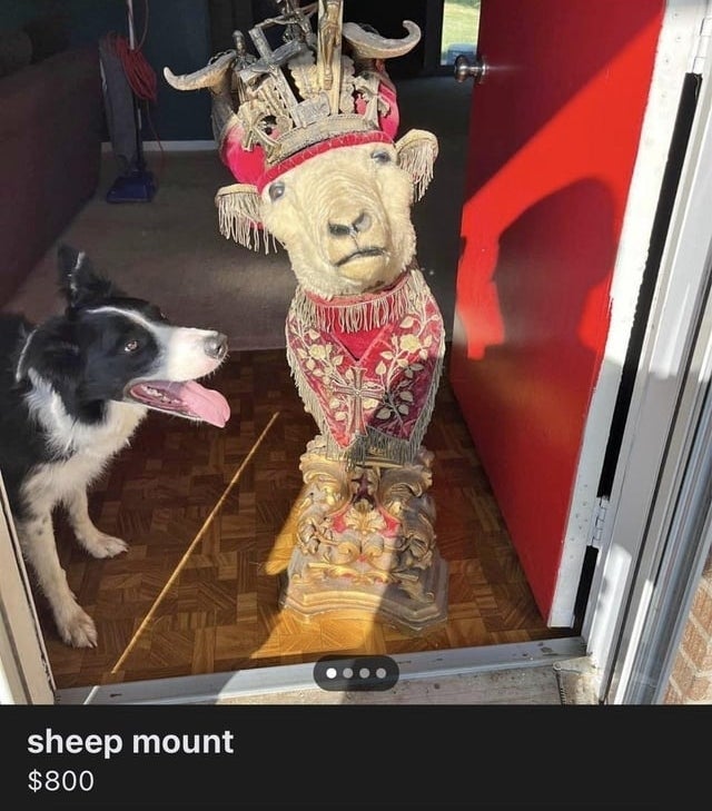 &quot;sheep mount&quot;