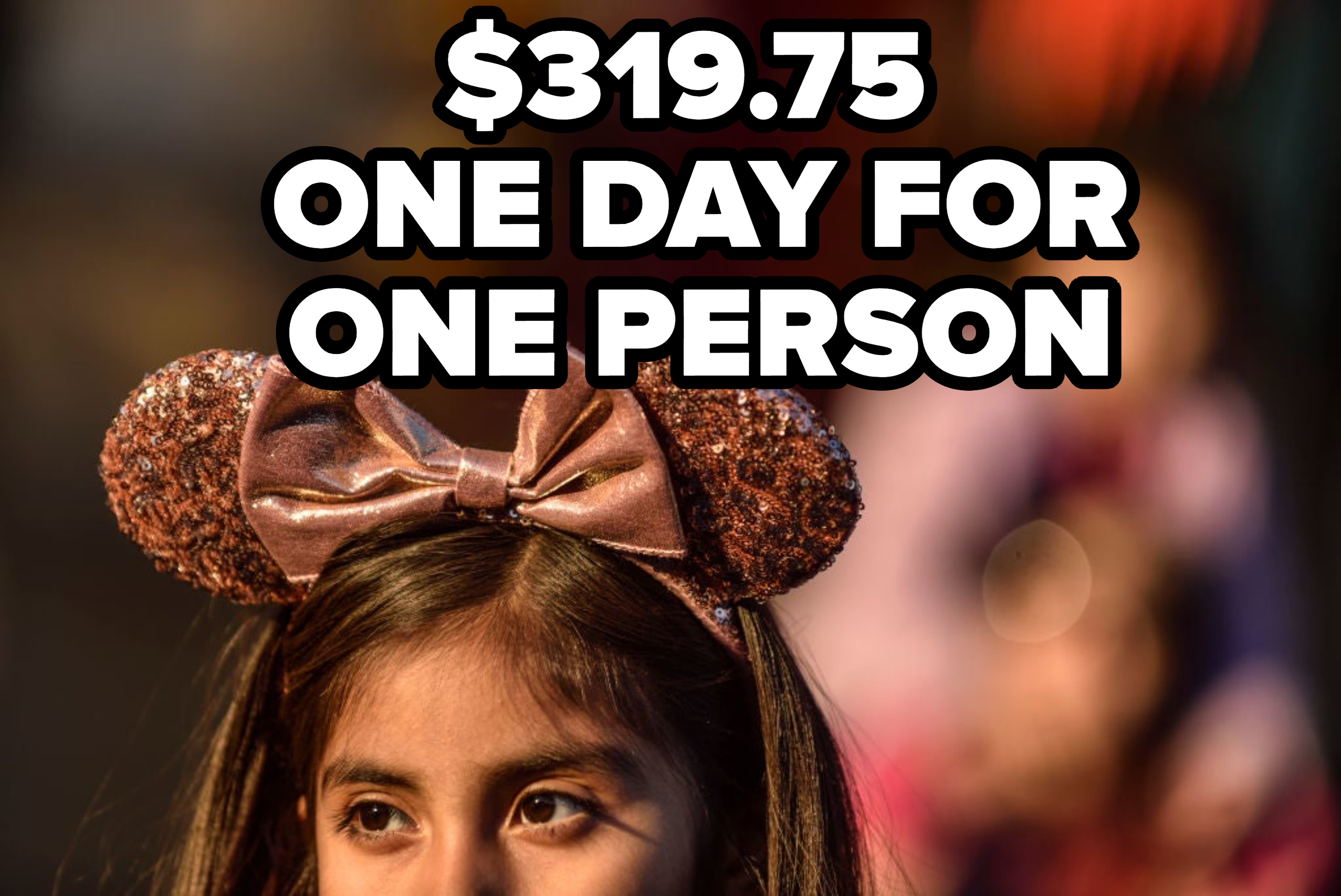 $319.75 One Day For One Person