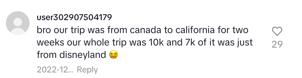 &quot;bro our trip was from canada to california for two weeks our whole trip was 10k and 7k of it was just from disneyland&quot;
