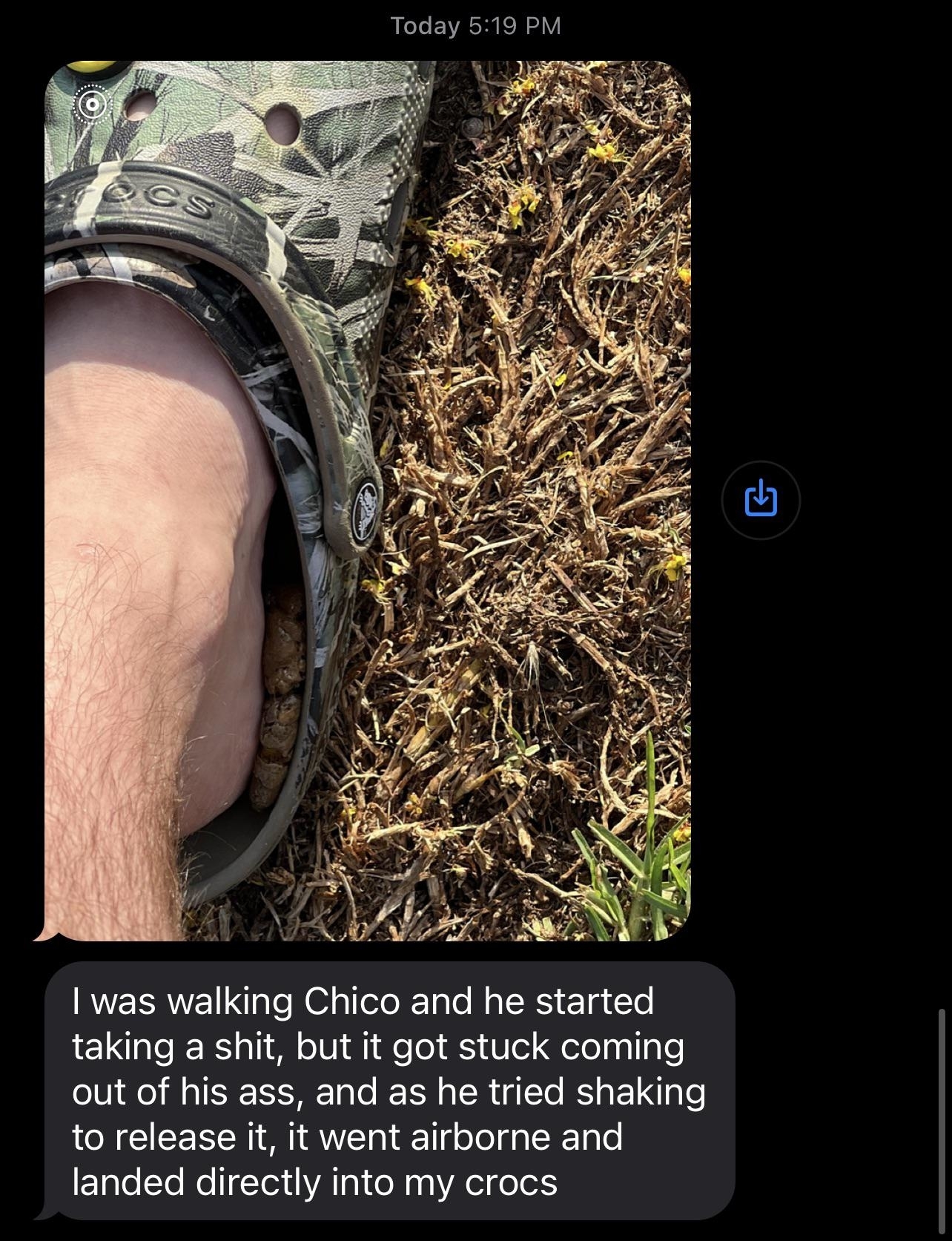Close-up of a foot wearing a Crocs shoe on the ground, with caption, &quot;I was walking Chico and he started taking a shit, but it got stuck coming out of his ass, and as he tried shaking to release it, it went airborne and landed directly into my crocs&quot;