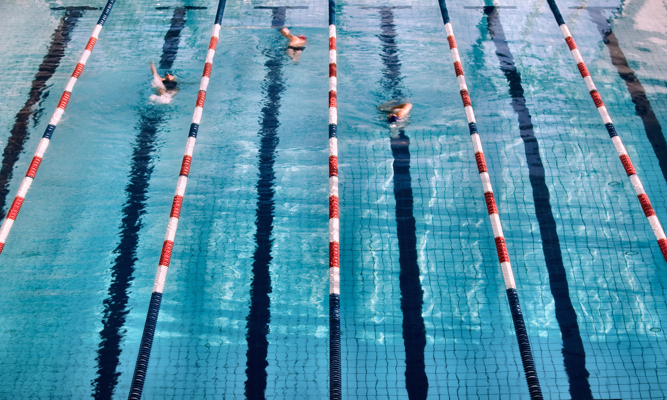 swimming lanes in the pool