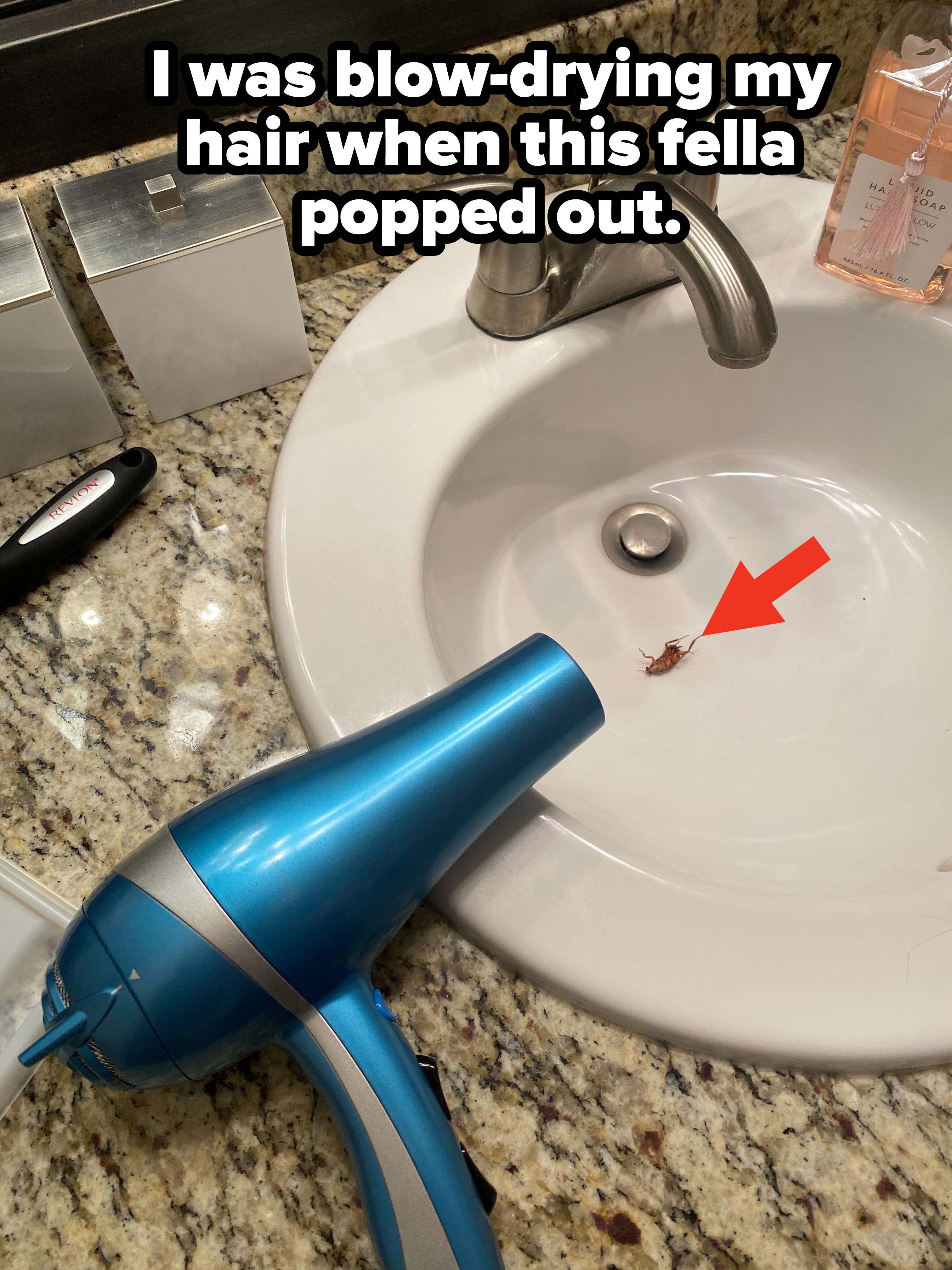 A dead roach in a sink with a blow-dryer on the side, with caption, &quot;I was blow-drying my hair when this fella popped out&quot;