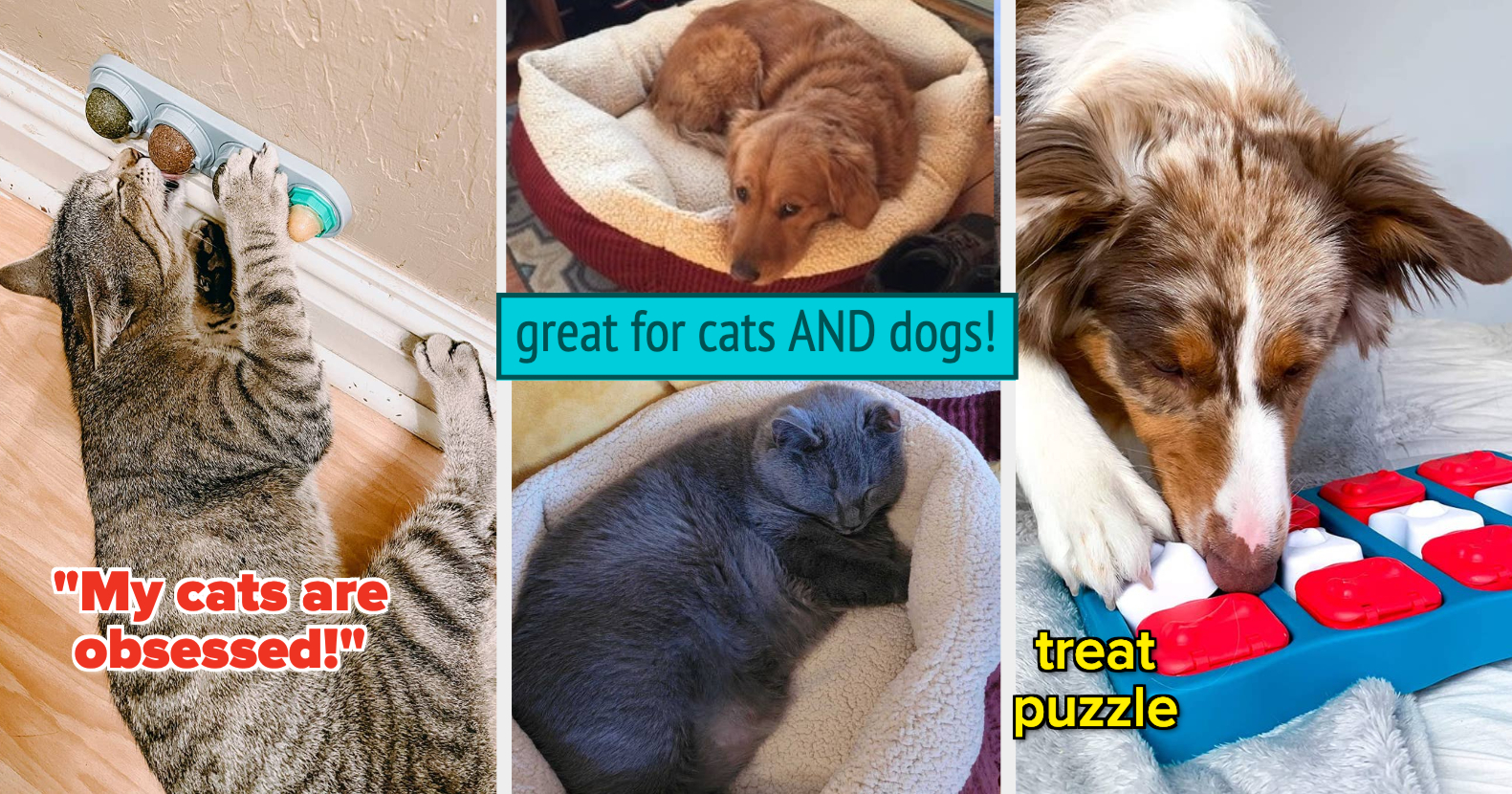 35 Things To Keep Your Pet Cozy And Entertained All Fall Long