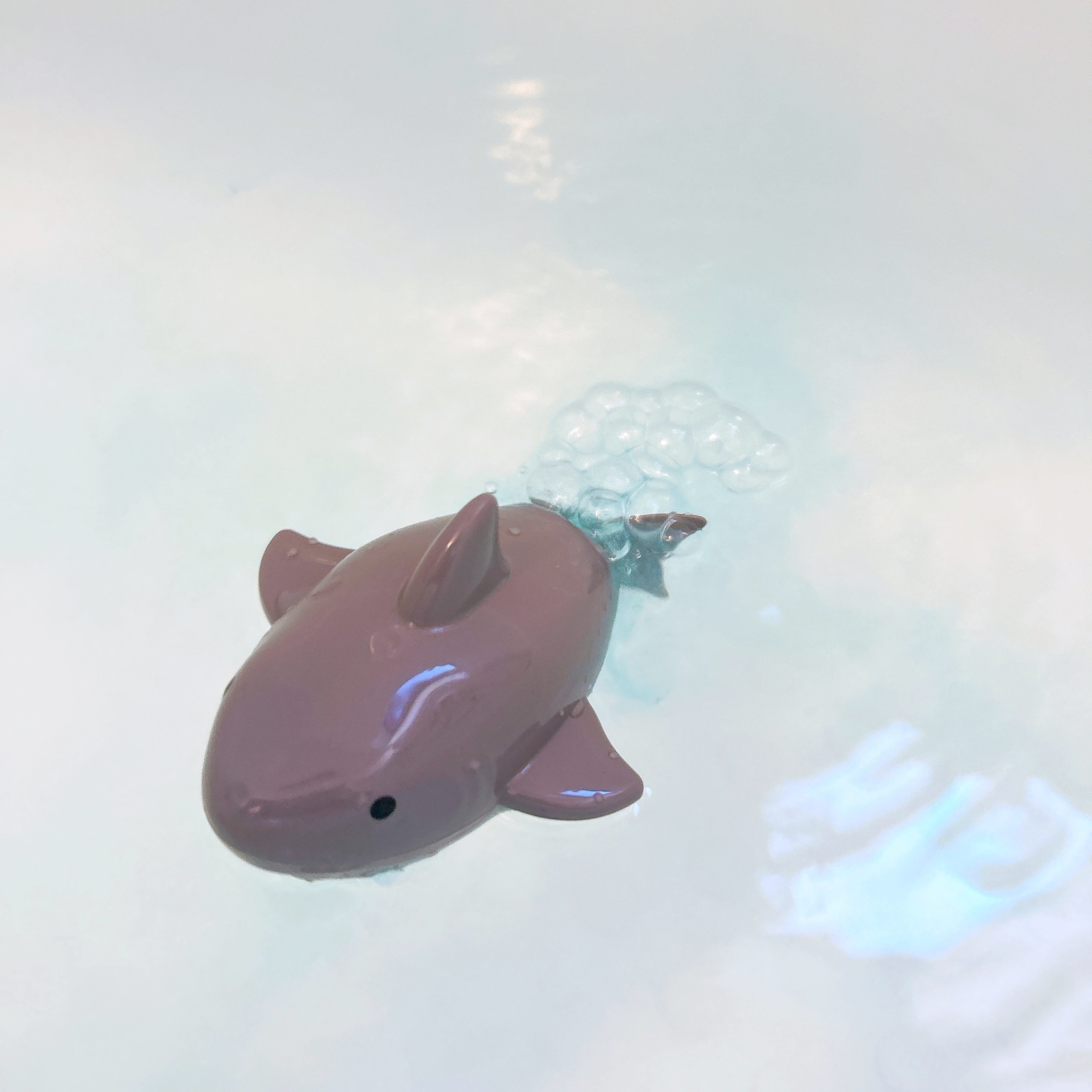 DAISO(ダイソー)のおすすめオモチャ「すすむシャーク」