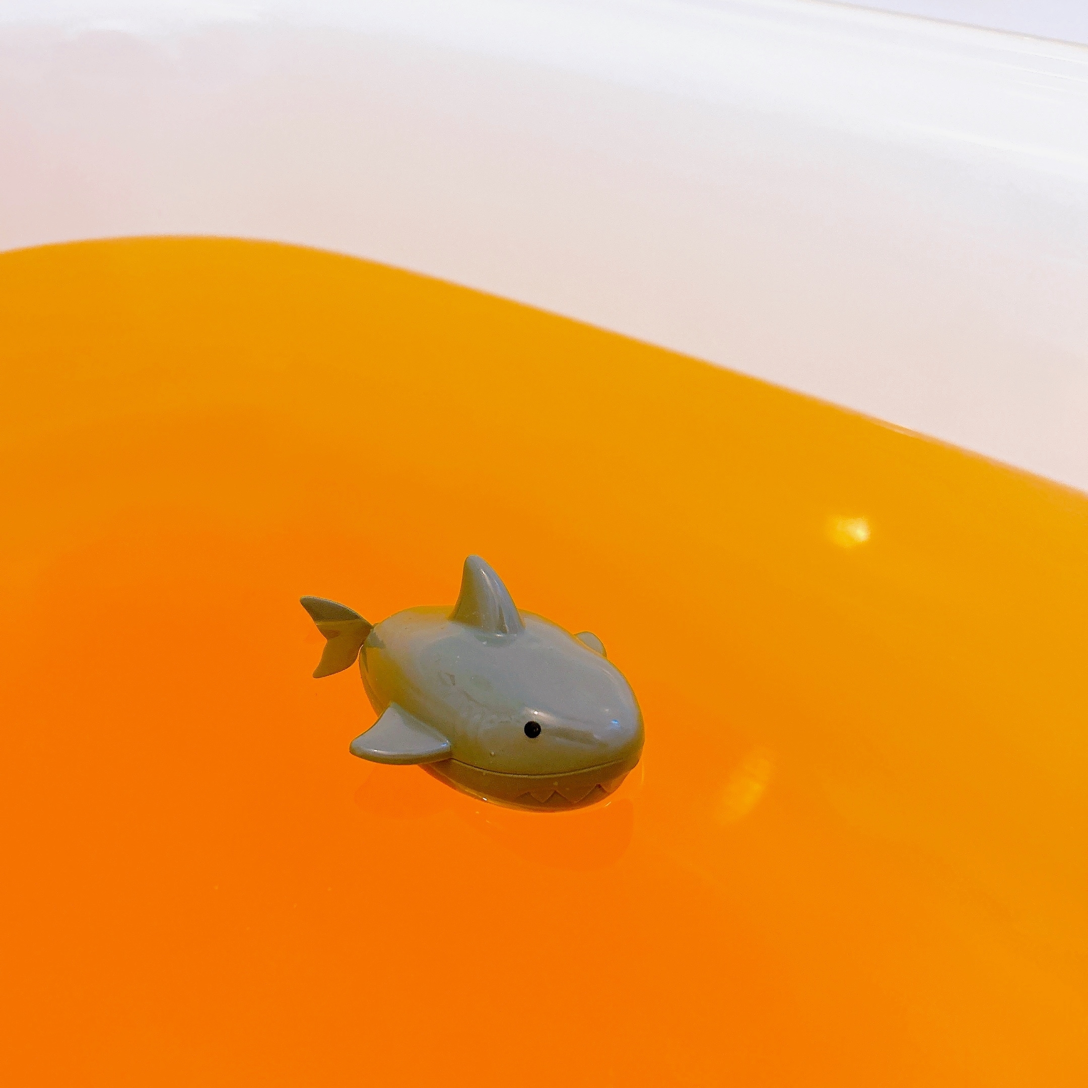 DAISO(ダイソー)のおすすめオモチャ「すすむシャーク」