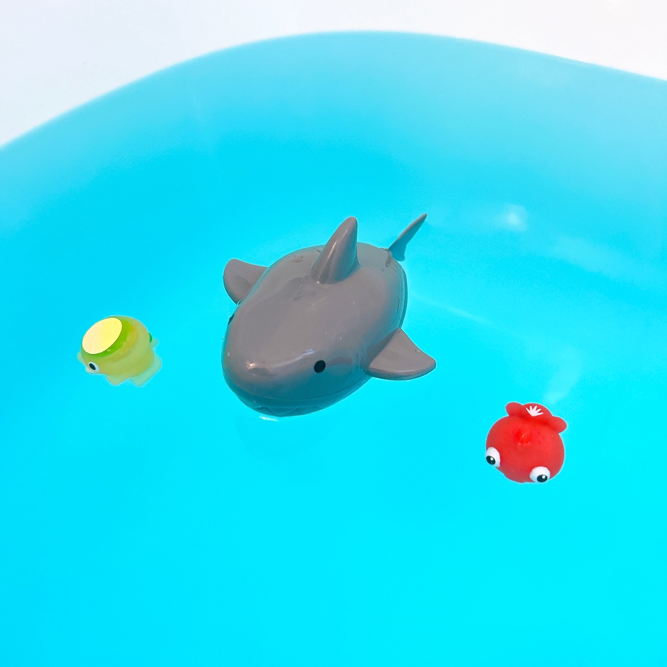 DAISO(ダイソー)のおすすめオモチャ「すすむシャーク」