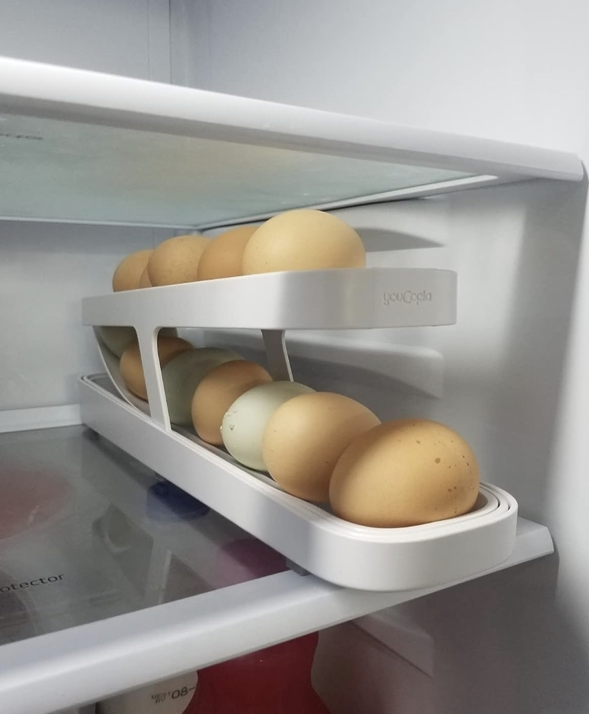 an egg dispenser in a refrigerator