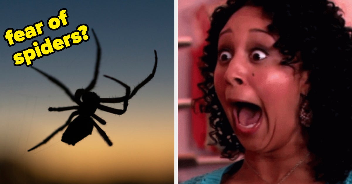 Common Fears And Phobias Quiz Common Fears And Phobias Quiz