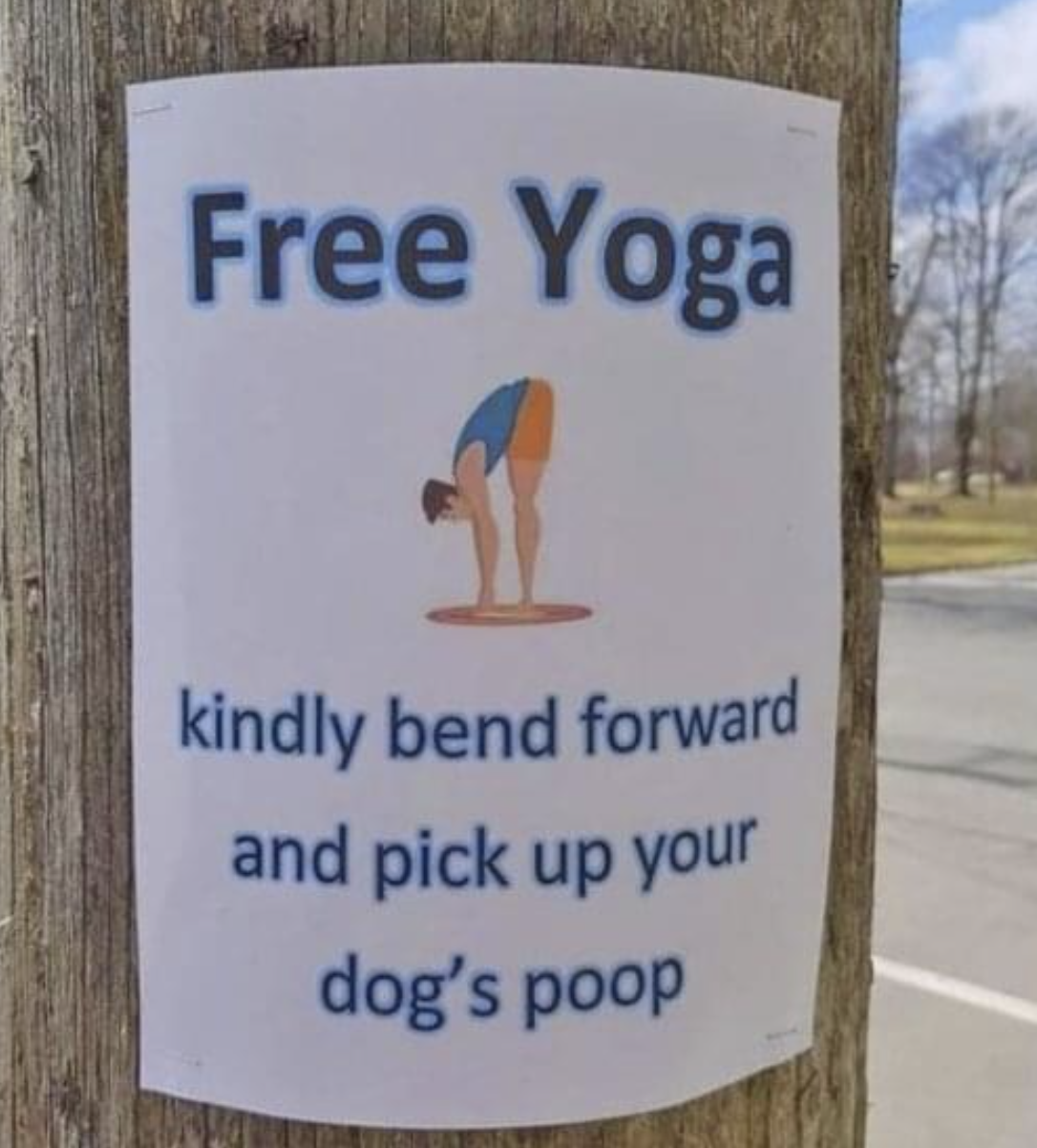 &quot;Kindly bend forward and pick up your dog&#x27;s poop&quot;
