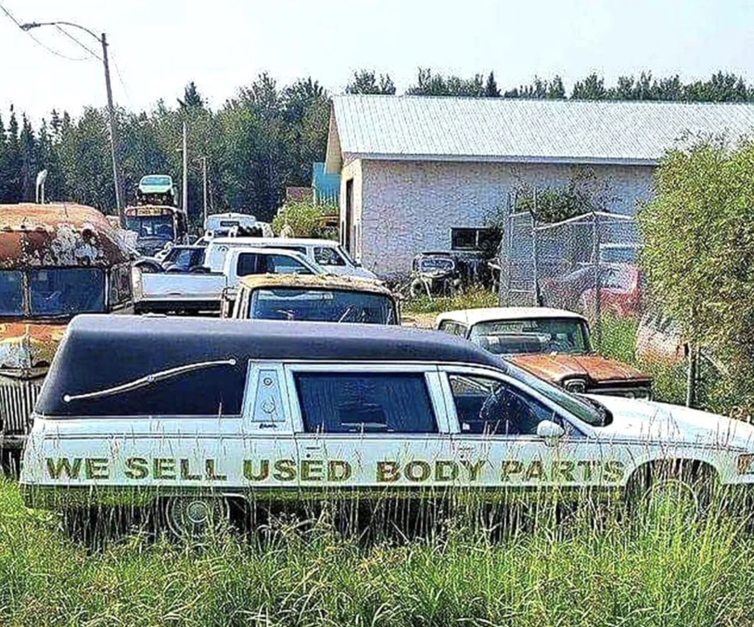 &quot;We sell used body parts&quot;