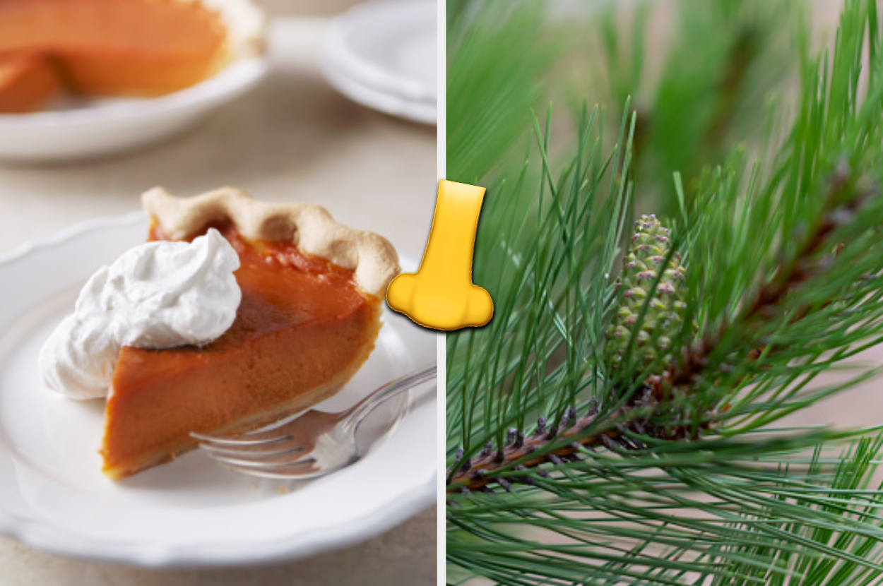 Because there's more to fall than just pumpkin spice.