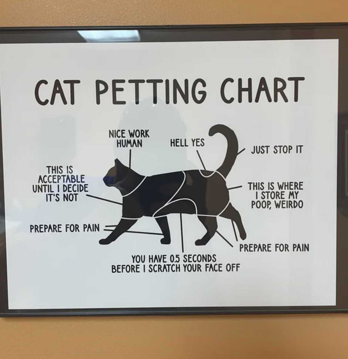 &quot;Cat petting chart&quot;
