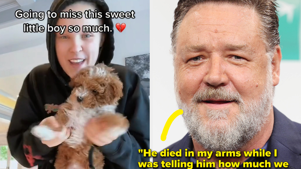 what famous dog died recently