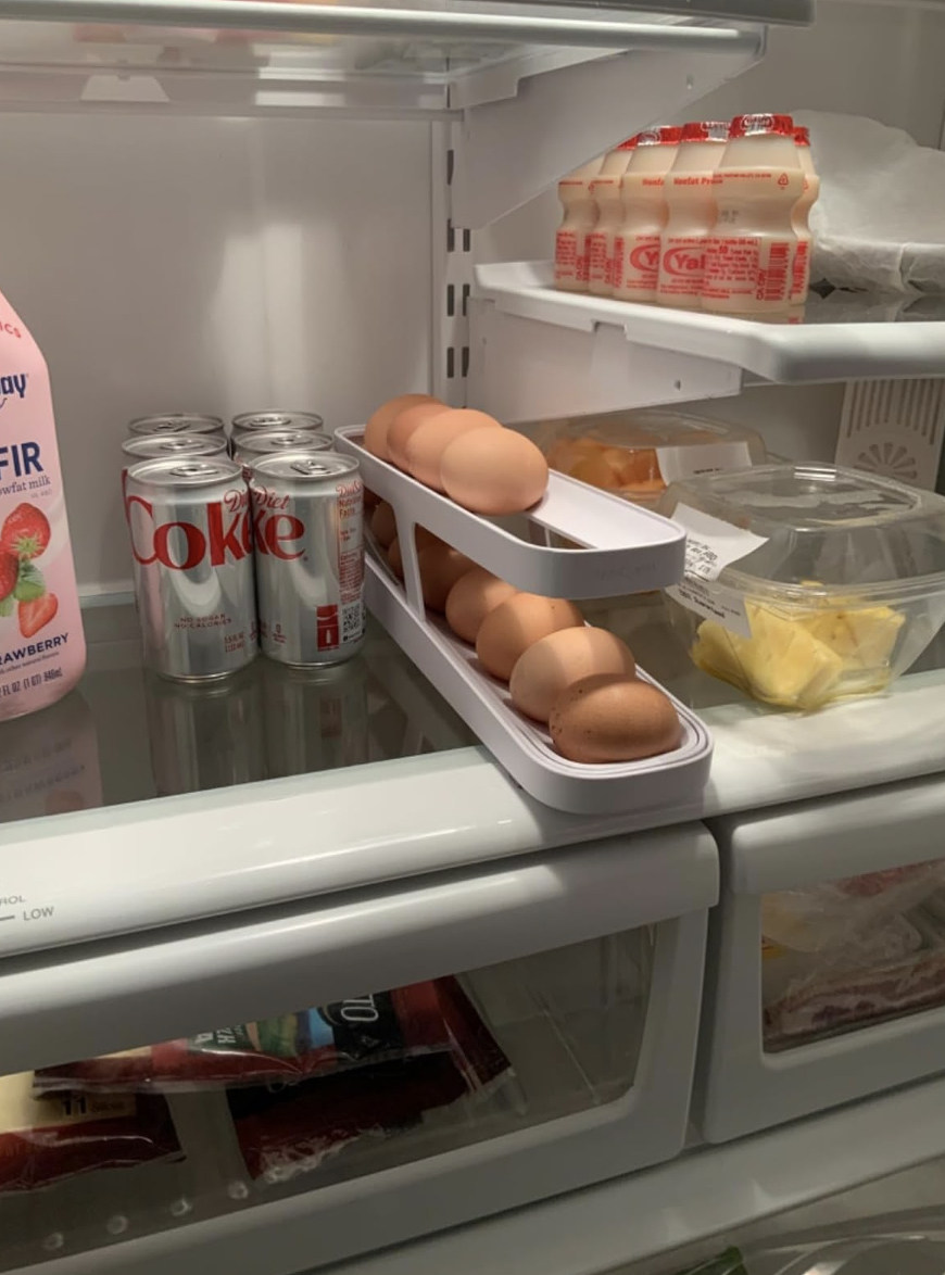 egg dispenser in fridge