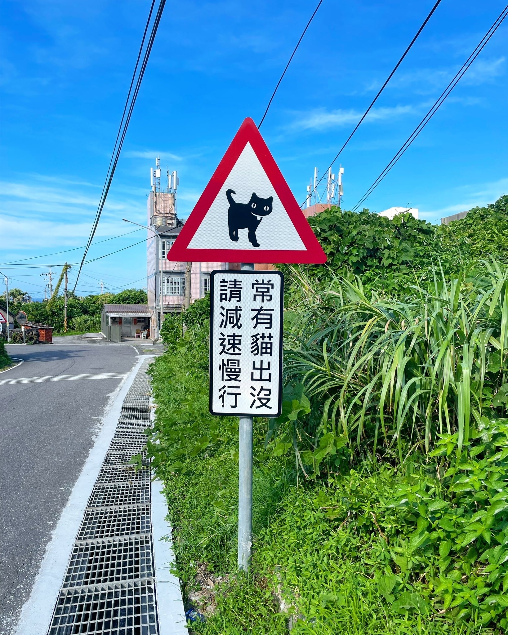 今まで見た中で一番かわいい」台湾で見つけた“ネコに優しい道路標識”が話題「これは安全運転しちゃうわ」