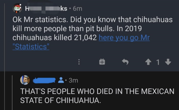 &quot;In 2019 chihuahuas killed 21,042 people,&quot; &quot;THAT&#x27;S PEOPLE WHO DIED IN THE MEXICAN STATE OF CHIHUAHUA.&quot;