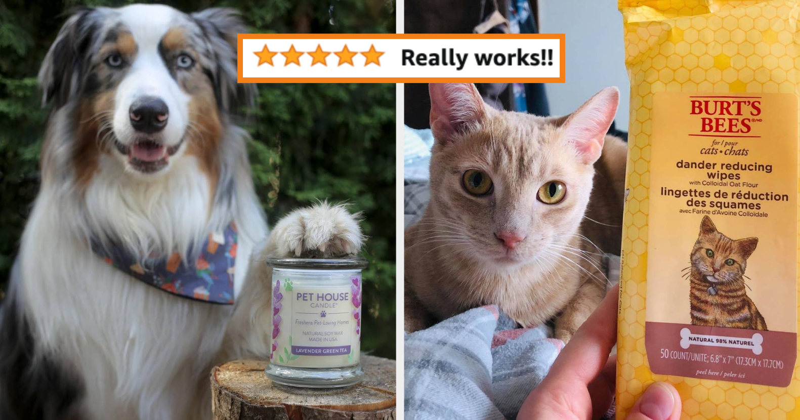 31 Pet Products Reviewers Say Actually Work