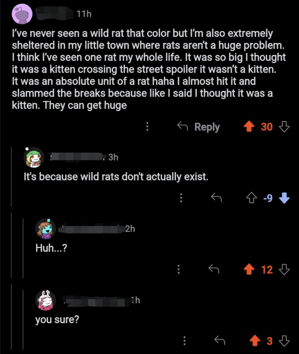 &quot;It&#x27;s because wild rats don&#x27;t actually exist.&quot;