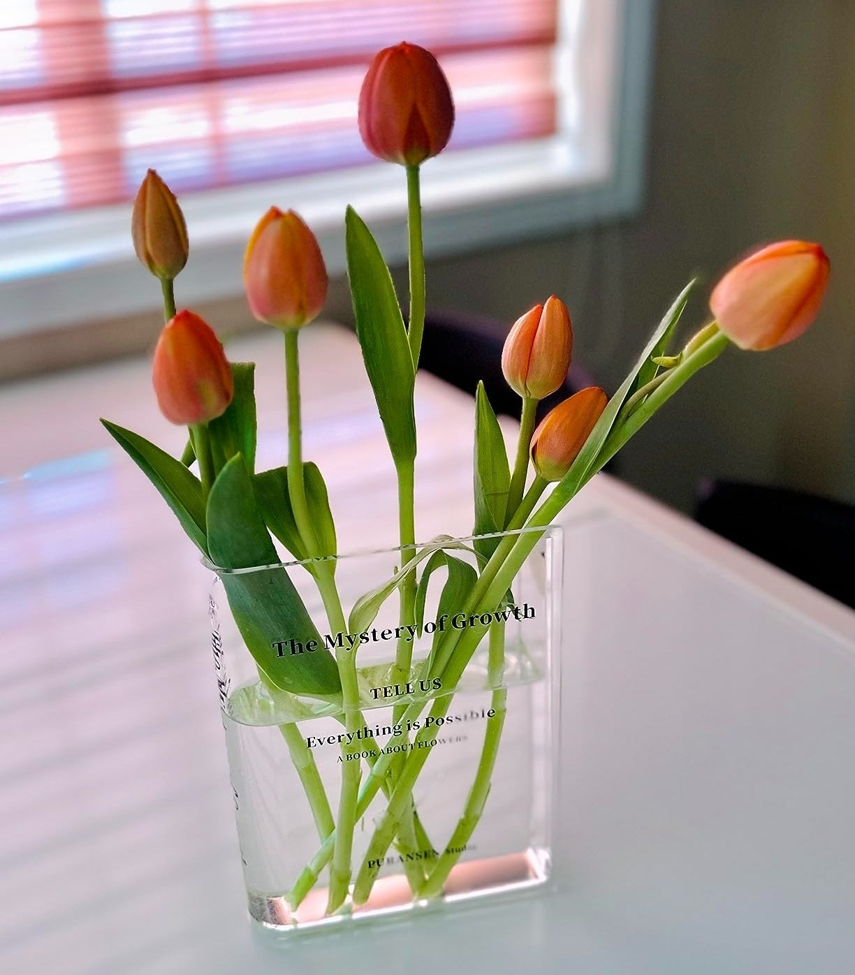 a reviewer photo of tulips in the vase