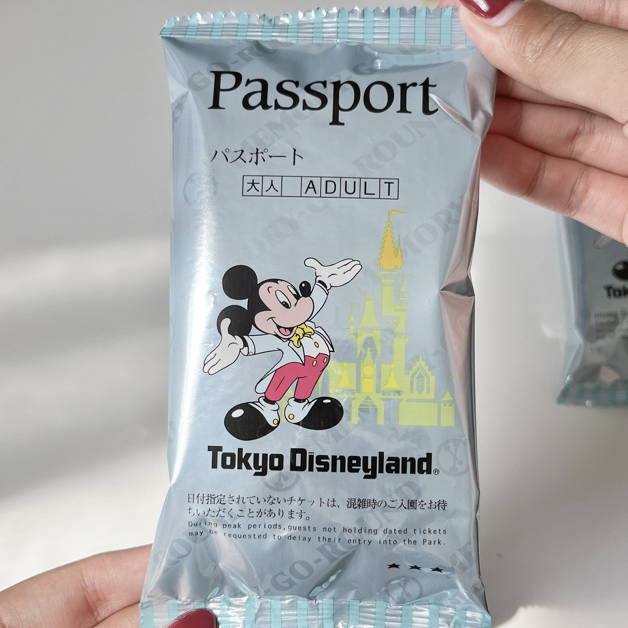 ディズニーランドで見つけたおすすめお土産「ポテトスナッククリップ付 クリア箱」