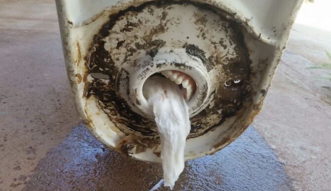 Teeth stuck in a drain
