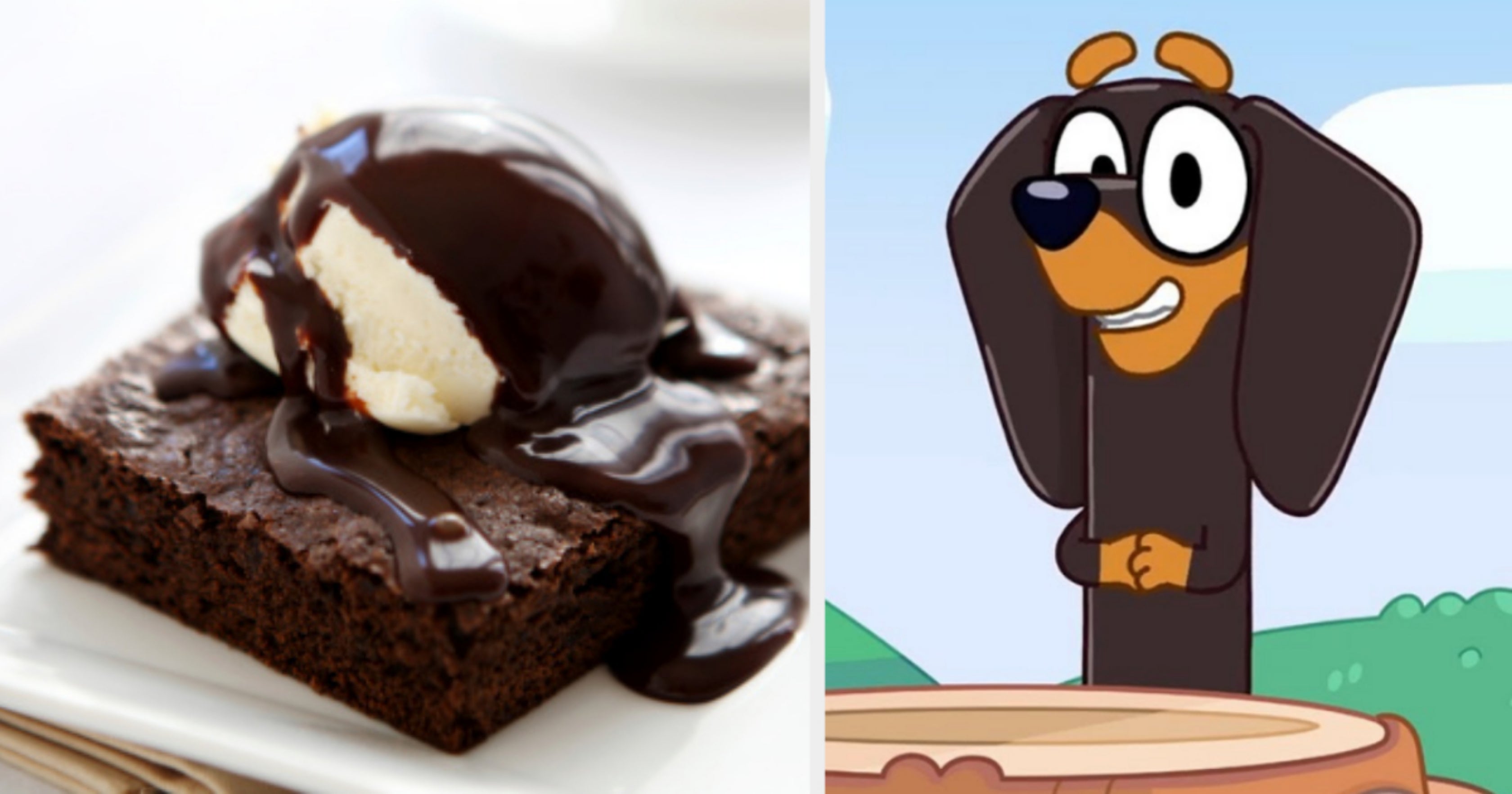 Which Bluey Character Are You Quiz-Family Fun Personality Test