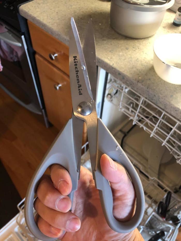 Reviewer holding the gray kitchen scissors