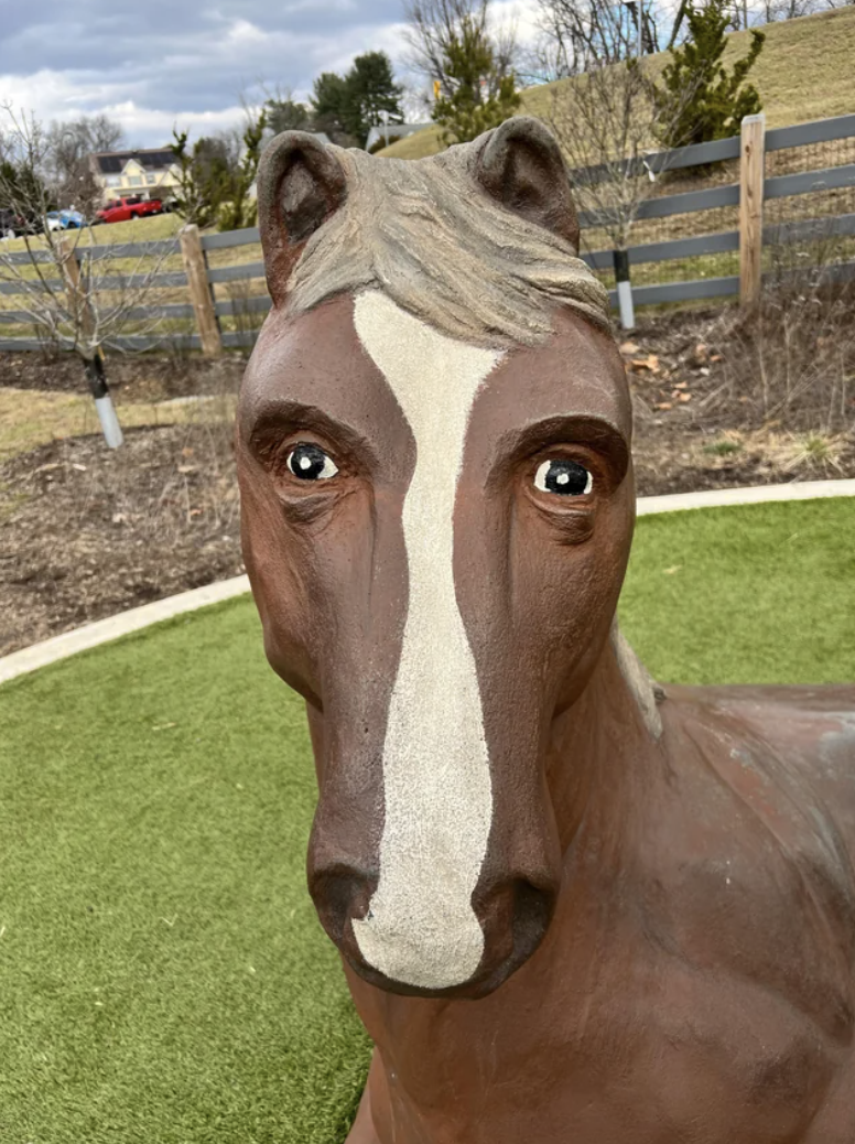 A horse with human eyes