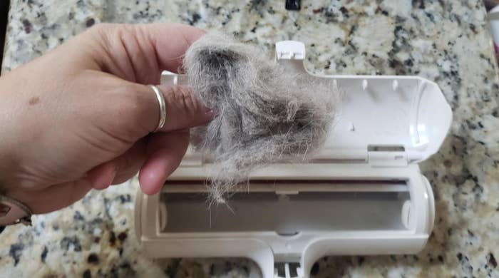 Reviewer taking collected pet hair out of the remover