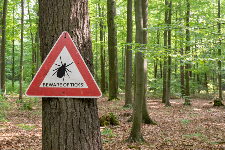 A &quot;Beware of ticks!&quot; sign