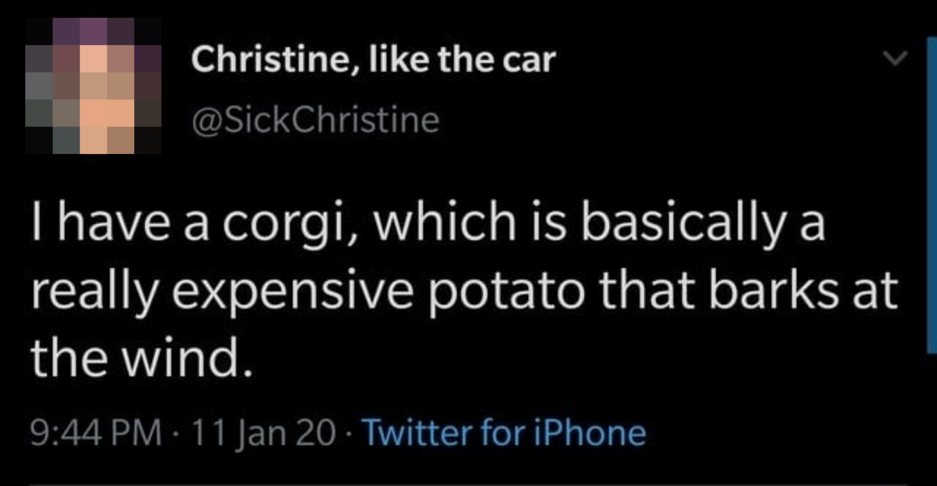 &quot;I have a corgi, which is basically a really expensive potato that barks at the wind.&quot;