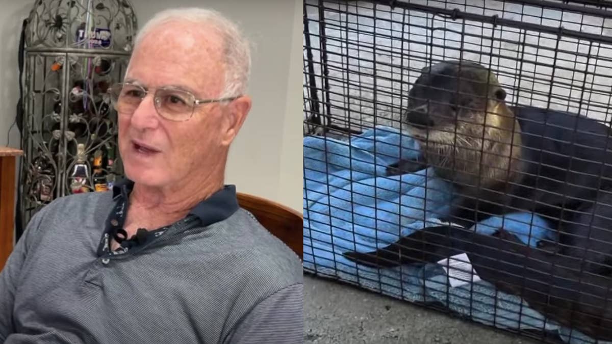 The 74-year-old still considers otters to be "cute," so long as they stay away.