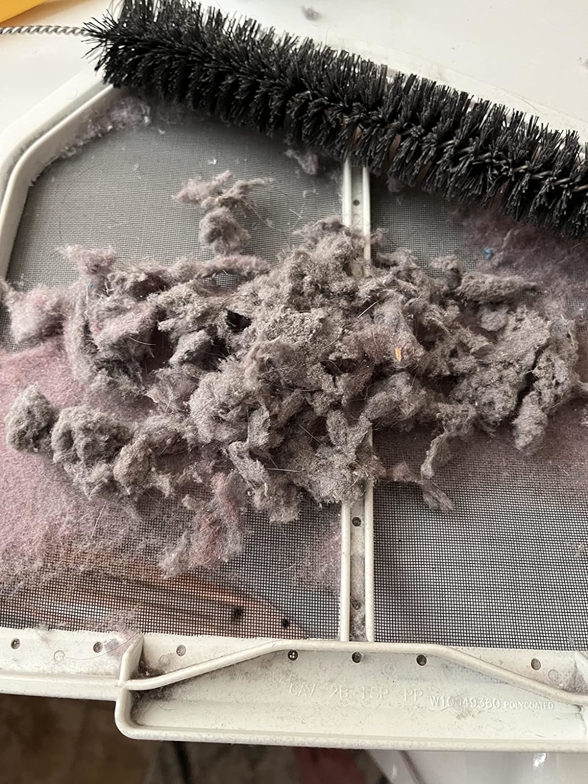 Reviewer’s photo of a clump of lint