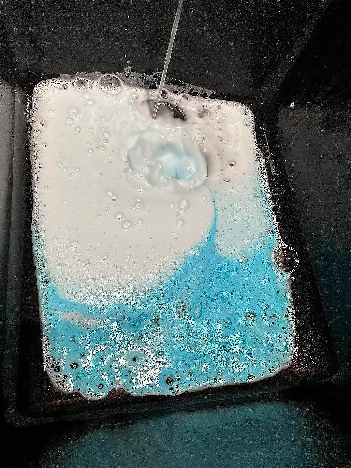 Reviewer’s photo of foaming garbage disposer cleaner
