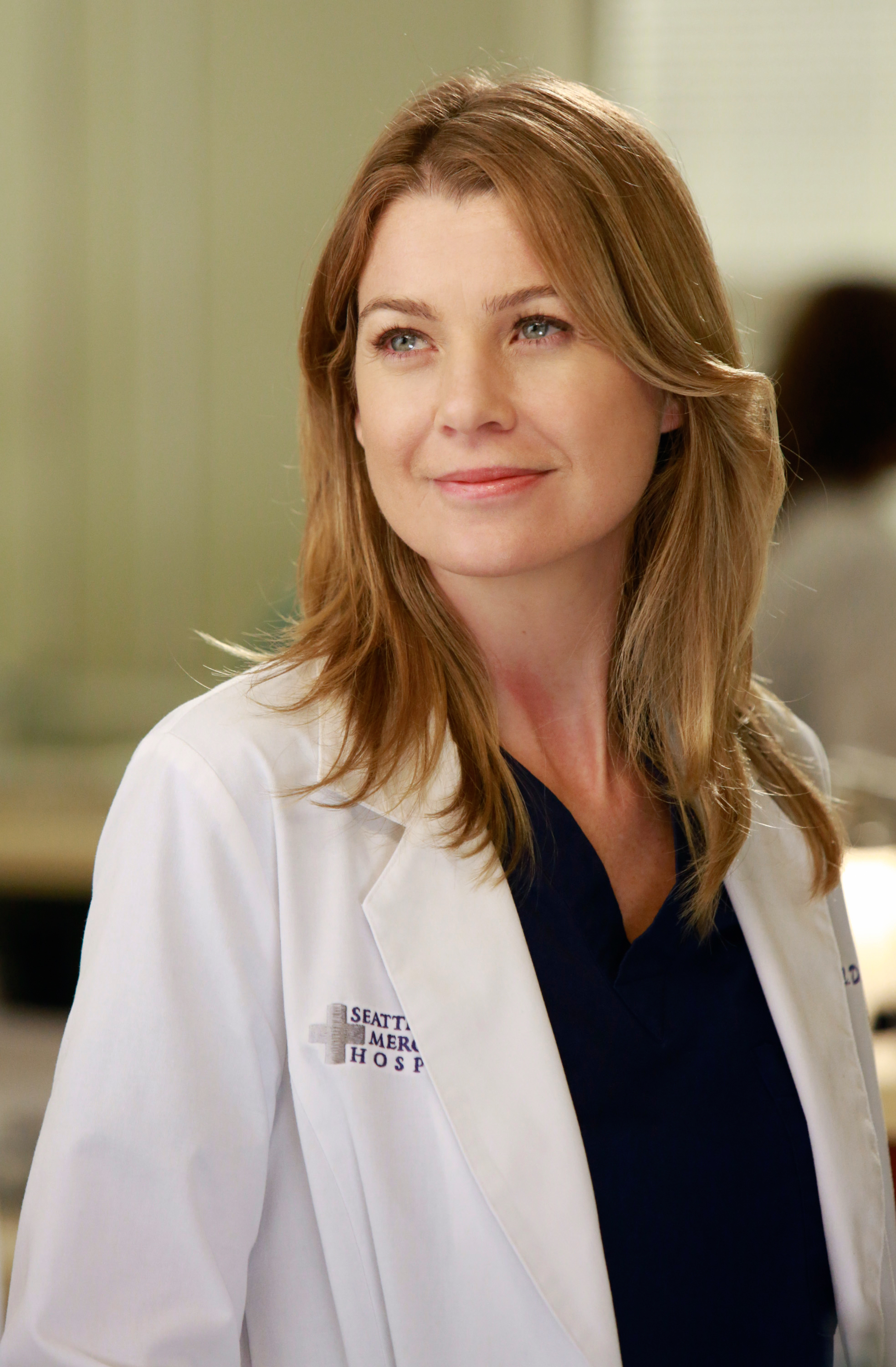 Meredith Grey Dc WordPress