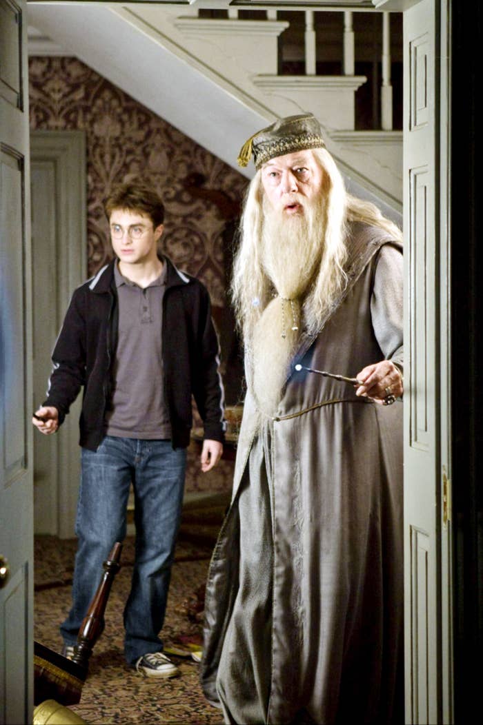 Daniel Radcliffe and Michael Gambon in &quot;Harry Potter&quot;