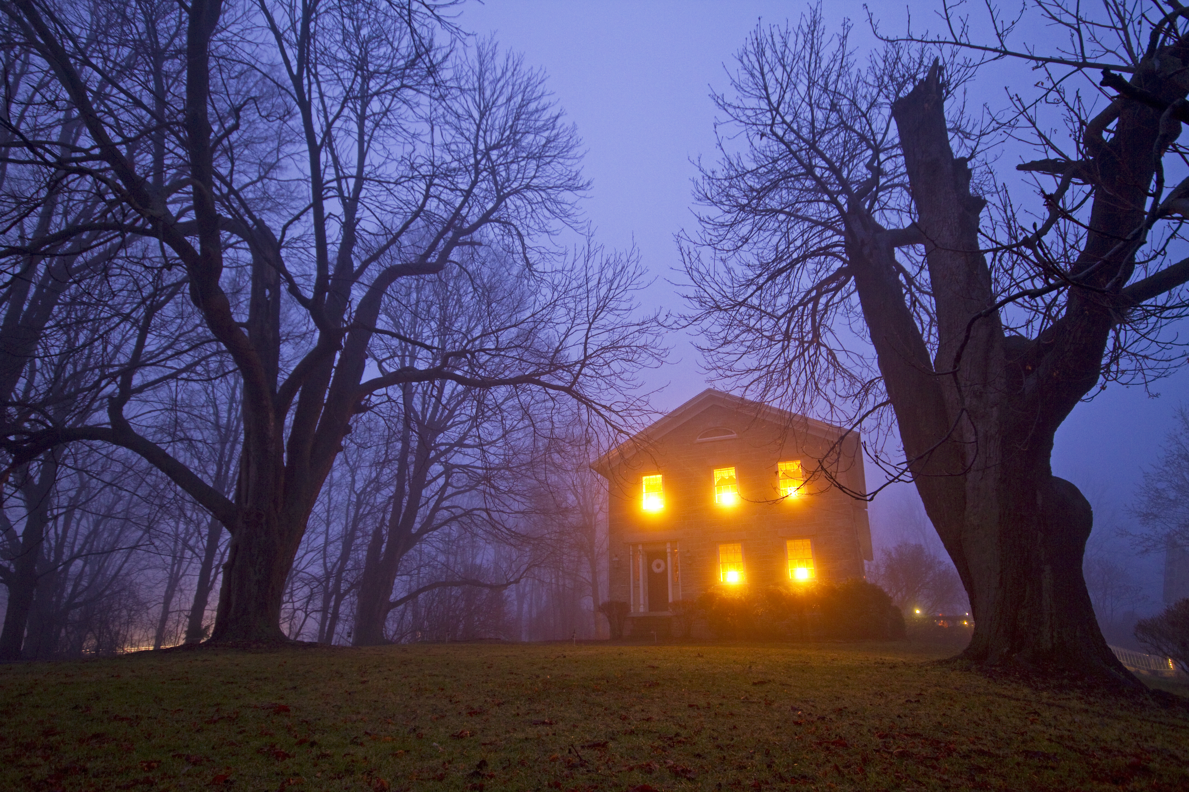 A scary-looking house in the woods